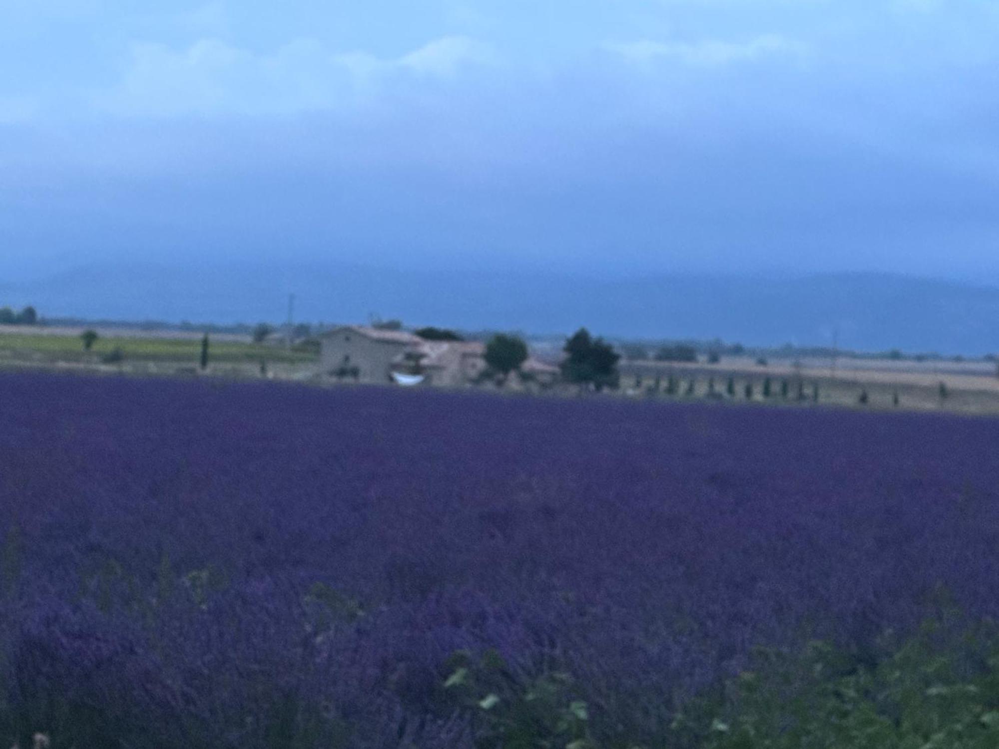 Domaine D'Angouire Hotel Мустие Сен Мари Екстериор снимка