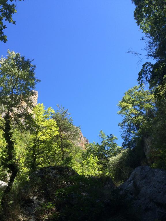 Domaine D'Angouire Hotel Мустие Сен Мари Екстериор снимка